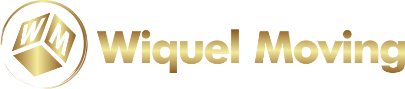 Wiquel Moving LDA